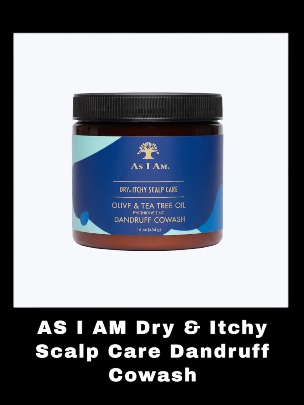 AS I AM Dry & Itchy Scalp Care 16.0 Ounces Dandruff Cowash